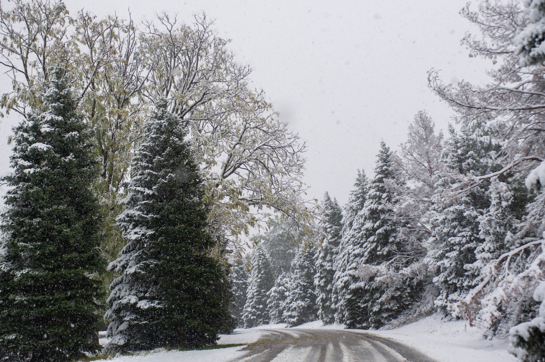 Snow features, 10/14